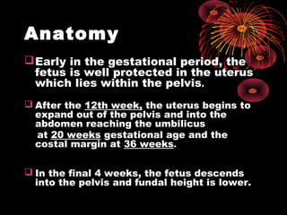 Anatomy
Early in the gestational period, the
fetus is well protected in the uterus
which lies within the pelvis.
 After the 12th week, the uterus begins to
expand out of the pelvis and into the
abdomen reaching the umbilicus
at 20 weeks gestational age and the
costal margin at 36 weeks.
 In the final 4 weeks, the fetus descends
into the pelvis and fundal height is lower.
 