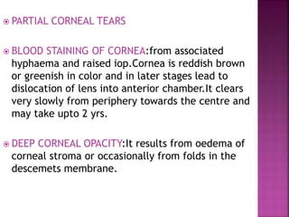  PARTIAL CORNEAL TEARS
 BLOOD STAINING OF CORNEA:from associated
hyphaema and raised iop.Cornea is reddish brown
or greenish in color and in later stages lead to
dislocation of lens into anterior chamber.It clears
very slowly from periphery towards the centre and
may take upto 2 yrs.
 DEEP CORNEAL OPACITY:It results from oedema of
corneal stroma or occasionally from folds in the
descemets membrane.
 