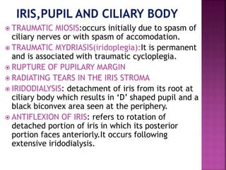  TRAUMATIC MIOSIS:occurs initially due to spasm of
ciliary nerves or with spasm of accomodation.
 TRAUMATIC MYDRIASIS(iridoplegia):It is permanent
and is associated with traumatic cycloplegia.
 RUPTURE OF PUPILARY MARGIN
 RADIATING TEARS IN THE IRIS STROMA
 IRIDODIALYSIS: detachment of iris from its root at
ciliary body which results in ‘D’ shaped pupil and a
black biconvex area seen at the periphery.
 ANTIFLEXION OF IRIS: refers to rotation of
detached portion of iris in which its posterior
portion faces anteriorly.It occurs following
extensive iridodialysis.
 