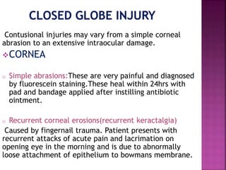 Contusional injuries may vary from a simple corneal
abrasion to an extensive intraocular damage.
CORNEA
o Simple abrasions:These are very painful and diagnosed
by fluorescein staining.These heal within 24hrs with
pad and bandage applied after instilling antibiotic
ointment.
o Recurrent corneal erosions(recurrent keractalgia)
Caused by fingernail trauma. Patient presents with
recurrent attacks of acute pain and lacrimation on
opening eye in the morning and is due to abnormally
loose attachment of epithelium to bowmans membrane.
 