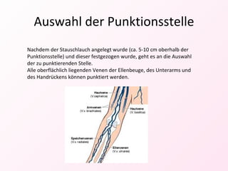 Auswahl der Punktionsstelle Nachdem der Stauschlauch angelegt wurde (ca. 5-10 cm oberhalb der Punktionsstelle) und dieser festgezogen wurde, geht es an die Auswahl der zu punktierenden Stelle.  Alle oberflächlich liegenden Venen der Ellenbeuge, des Unterarms und des Handrückens können punktiert werden. 