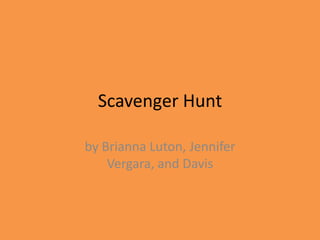 Scavenger Hunt by Brianna Luton, Jennifer Vergara, and Davis 