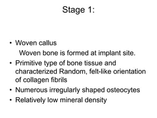 Stage 1:
• Woven callus
Woven bone is formed at implant site.
• Primitive type of bone tissue and
characterized Random, felt-like orientation
of collagen fibrils
• Numerous irregularly shaped osteocytes
• Relatively low mineral density
 