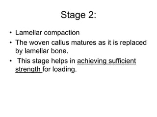 Stage 2:
• Lamellar compaction
• The woven callus matures as it is replaced
by lamellar bone.
• This stage helps in achieving sufficient
strength for loading.
 