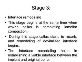 Stage 3:
• Interface remodeling
• This stage begins at the same time when
woven callus is completing lamellar
compaction.
• During this stage callus starts to resorb,
and remodeling of devitalized interface
begins.
• The interface remodeling helps in
establishing a viable interface between the
implant and original bone.
 