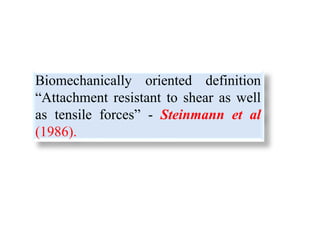 Biomechanically oriented definition
“Attachment resistant to shear as well
as tensile forces” - Steinmann et al
(1986).
 