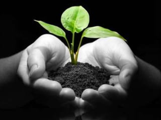 Ondernemerschap CE in de Blender