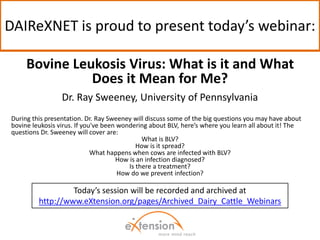 DAIReXNET is proud to present today’s webinar:
Bovine Leukosis Virus: What is it and What
Does it Mean for Me?
Dr. Ray Sweeney, University of Pennsylvania
During this presentation. Dr. Ray Sweeney will discuss some of the big questions you may have about
bovine leukosis virus. If you've been wondering about BLV, here’s where you learn all about it! The
questions Dr. Sweeney will cover are:
What is BLV?
How is it spread?
What happens when cows are infected with BLV?
How is an infection diagnosed?
Is there a treatment?
How do we prevent infection?
Today’s session will be recorded and archived at
http://www.eXtension.org/pages/Archived_Dairy_Cattle_Webinars
 