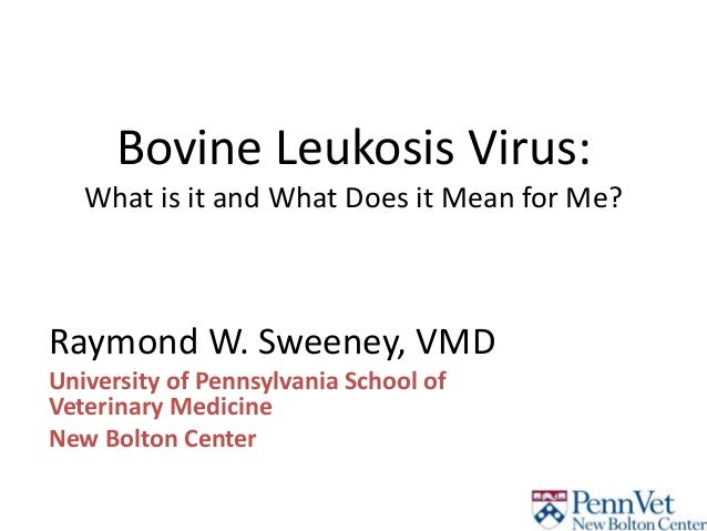 bovine leukemia virus