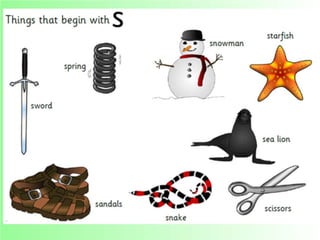 Flashcards and posters S s