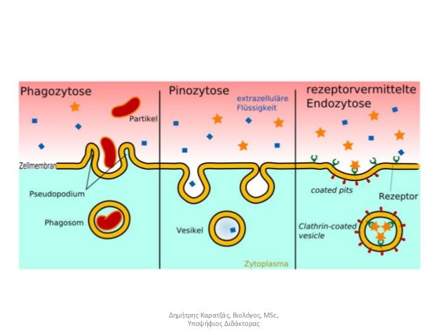 Î£ÏÎµÏÎ¹ÎºÎ® ÎµÎ¹ÎºÏÎ½Î±