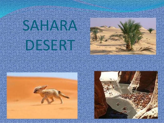 SAHARA DESERT VS THAR DESERT