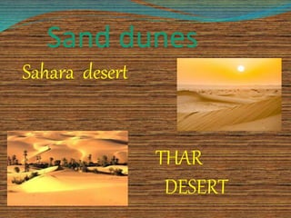 Sand dunes
Sahara desert
THAR
DESERT
 