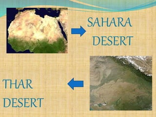 THAR
DESERT
SAHARA
DESERT
 