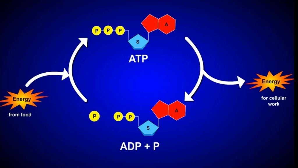 Aerobic respiration vs anaerobic respiration vs fermentation