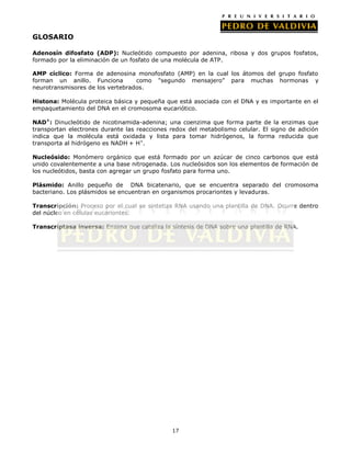 17
GLOSARIO
Adenosín difosfato (ADP): Nucleótido compuesto por adenina, ribosa y dos grupos fosfatos,
formado por la eliminación de un fosfato de una molécula de ATP.
AMP cíclico: Forma de adenosina monofosfato (AMP) en la cual los átomos del grupo fosfato
forman un anillo. Funciona como "segundo mensajero” para muchas hormonas y
neurotransmisores de los vertebrados.
Histona: Molécula proteica básica y pequeña que está asociada con el DNA y es importante en el
empaquetamiento del DNA en el cromosoma eucariótico.
NAD+
: Dinucleótido de nicotinamida-adenina; una coenzima que forma parte de la enzimas que
transportan electrones durante las reacciones redox del metabolismo celular. El signo de adición
indica que la molécula está oxidada y lista para tomar hidrógenos, la forma reducida que
transporta al hidrógeno es NADH + H+
.
Nucleósido: Monómero orgánico que está formado por un azúcar de cinco carbonos que está
unido covalentemente a una base nitrogenada. Los nucleósidos son los elementos de formación de
los nucleótidos, basta con agregar un grupo fosfato para forma uno.
Plásmido: Anillo pequeño de DNA bicatenario, que se encuentra separado del cromosoma
bacteriano. Los plásmidos se encuentran en organismos procariontes y levaduras.
Transcripción: Proceso por el cual se sintetiza RNA usando una plantilla de DNA. Ocurre dentro
del núcleo en células eucariontes.
Transcriptasa inversa: Enzima que cataliza la síntesis de DNA sobre una plantilla de RNA.
 