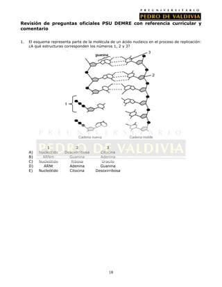 18
Revisión de preguntas oficiales PSU DEMRE con referencia curricular y
comentario
1. El esquema representa parte de la molécula de un ácido nucleico en el proceso de replicación:
¿A qué estructuras corresponden los números 1, 2 y 3?
1 2 3
A) Nucleotido Desoxirribosa Citocina
B) ARNm Guanina Adenina
C) Nucleótido Ribosa Uracilo
D) ARNt Adenina Guanina
E) Nucleótido Citocina Desoxirribosa
 