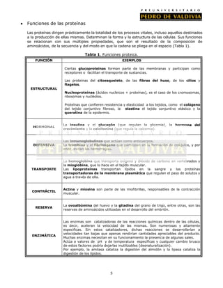 5
Funciones de las proteínas
Las proteínas dirigen prácticamente la totalidad de los procesos vitales, incluso aquellos destinados
a la producción de ellas mismas. Determinan la forma y la estructura de las células. Sus funciones
se relacionan con sus múltiples propiedades, que son el resultado de la composición de
aminoácidos, de la secuencia y del modo en que la cadena se pliega en el espacio (Tabla 1).
Tabla 1. Funciones proteica.
FUNCIÓN EJEMPLOS
ESTRUCTURAL
Ciertas glucoproteínas forman parte de las membranas y participan como
receptores o facilitan el transporte de sustancias.
Las proteínas del citoesqueleto, de las fibras del huso, de los cilios y
flagelos.
Nucleoproteínas (ácidos nucleicos + proteínas), es el caso de los cromosomas,
ribosomas y nucléolos.
Proteínas que confieren resistencia y elasticidad a los tejidos, como el colágeno
del tejido conjuntivo fibroso, la elastina el tejido conjuntivo elástico y la
queratina de la epidermis.
HORMONAL
La insulina y el glucagón (que regulan la glicemia), la hormona del
crecimiento y la calcitonina (que regula la calcemia).
DEFENSIVA
Las inmunoglobulinas que actúan como anticuerpos.
La trombina y el fibrinógeno que participan en la formación de coágulos, y por
ende, evitan las hemorragias.
TRANSPORTE
La hemoglobina que transporta oxígeno y dióxido de carbono en vertebrados y
la mioglobina, que lo hace en el tejido muscular.
Las lipoproteínas transportan lípidos en la sangre y las proteínas
transportadoras de la membrana plasmática que regulan el paso de solutos y
agua a través de ella.
CONTRÁCTIL
Actina y miosina son parte de las miofibrillas, responsables de la contracción
muscular.
RESERVA
La ovoalbúmina del huevo y la gliadina del grano de trigo, entre otras, son las
reservas de aminoácidos utilizadas en el desarrollo del embrión.
ENZIMÁTICA
Las enzimas son catalizadoras de las reacciones químicas dentro de las células,
es decir, aceleran la velocidad de las mismas. Son numerosas y altamente
especificas. Sin estos catalizadores, dichas reacciones se desarrollarían a
velocidades tan bajas que apenas rendirían cantidades apreciables del producto.
Muchas enzimas necesitan en su funcionamiento la presencia de algunas sales.
Actúa a valores de pH y de temperatura específicas y cualquier cambio brusco
de estos factores podría dejarlas inutilizables (desnaturalización).
Por ejemplo, la amilasa cataliza la digestión del almidón y la lipasa cataliza la
digestión de los lípidos.
 