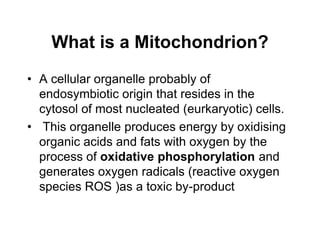 What is a Mitochondrion?
• A cellular organelle probably of
endosymbiotic origin that resides in the
cytosol of most nucleated (eurkaryotic) cells.
• This organelle produces energy by oxidising
organic acids and fats with oxygen by the
process of oxidative phosphorylation and
generates oxygen radicals (reactive oxygen
species ROS )as a toxic by-product
 