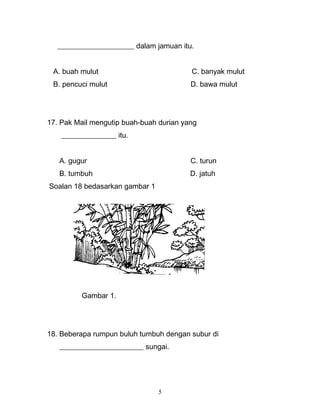 _____________________ dalam jamuan itu.
A. buah mulut C. banyak mulut
B. pencuci mulut D. bawa mulut
17. Pak Mail mengutip buah-buah durian yang
_______________ itu.
A. gugur C. turun
B. tumbuh D. jatuh
Soalan 18 bedasarkan gambar 1
Gambar 1.
18. Beberapa rumpun buluh tumbuh dengan subur di
_______________________ sungai.
5
 