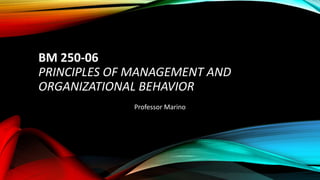 BM 250-06
PRINCIPLES OF MANAGEMENT AND
ORGANIZATIONAL BEHAVIOR
Professor Marino
 