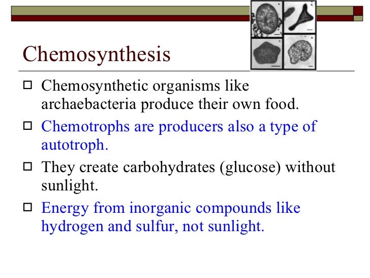 Chemosynthesis formula