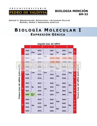 BIOLOGIA MENCIÓN
                                                                                                       BM-33

UNIDAD I: ORGANIZACIÓN, ESTRUCTURA Y ACTIVIDAD CELULAR
          GENOMA, GENES E INGENIERÍA GENÉTICA




    BIOLOGÍA MOLECULAR I
                                            EXPRESIÓN GÉNICA

                                               Segunda base del mRNA




                                                                         Tercera base del mRNA (extremo 3’)
       Primera base del mRNA (extremo 5’)
 