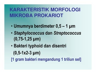 KARAKTERISTIK MORFOLOGI
MIKROBA PROKARIOT

• Umumnya berdimeter 0,5 – 1 m
• Staphylococcus dan Streptococcus
  (0,75-1,25 m)
• Bakteri typhoid dan disentri
  (0,5-1x2-3 m)
[1 gram bakteri mengandung 1 triliun sel]
 