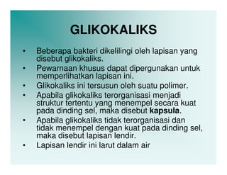 GLIKOKALIKS
•   Beberapa bakteri dikelilingi oleh lapisan yang
    disebut glikokaliks.
•   Pewarnaan khusus dapat dipergunakan untuk
    memperlihatkan lapisan ini.
•   Glikokaliks ini tersusun oleh suatu polimer.
•   Apabila glikokaliks terorganisasi menjadi
    struktur tertentu yang menempel secara kuat
    pada dinding sel, maka disebut kapsula.
•   Apabila glikokaliks tidak terorganisasi dan
    tidak menempel dengan kuat pada dinding sel,
    maka disebut lapisan lendir.
•   Lapisan lendir ini larut dalam air
 