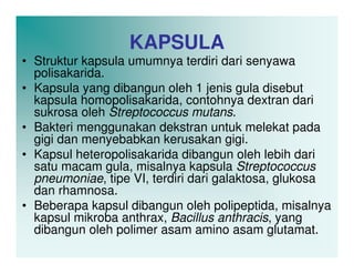 KAPSULA
• Struktur kapsula umumnya terdiri dari senyawa
  polisakarida.
• Kapsula yang dibangun oleh 1 jenis gula disebut
  kapsula homopolisakarida, contohnya dextran dari
  sukrosa oleh Streptococcus mutans.
• Bakteri menggunakan dekstran untuk melekat pada
  gigi dan menyebabkan kerusakan gigi.
• Kapsul heteropolisakarida dibangun oleh lebih dari
  satu macam gula, misalnya kapsula Streptococcus
  pneumoniae, tipe VI, terdiri dari galaktosa, glukosa
  dan rhamnosa.
• Beberapa kapsul dibangun oleh polipeptida, misalnya
  kapsul mikroba anthrax, Bacillus anthracis, yang
  dibangun oleh polimer asam amino asam glutamat.
 