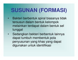 SUSUNAN (FORMASI)
•   Bakteri berbentuk spiral biasanya tidak
    tersusun dalam bentuk kelompok
    melainkan terdapat dalam bentuk sel
    tunggal
•   Sedangkan bekteri berbentuk lainnya
    dapat tumbuh membentuk pola
    penyusunan yang khas yang dapat
    digunakan untuk identifikasi
 