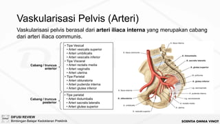 [BM5 2024] Anatomi Urogenitalia dan Reproduksi.pdf