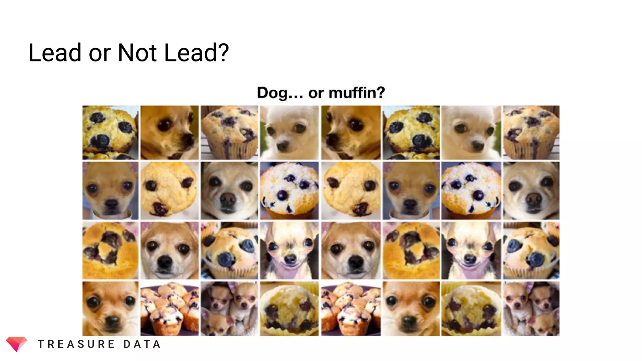 Lead or Not Lead?
 