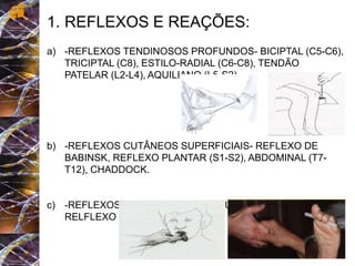 1. REFLEXOS E REAÇÕES:
a) -REFLEXOS TENDINOSOS PROFUNDOS- BICIPTAL (C5-C6),
TRICIPTAL (C8), ESTILO-RADIAL (C6-C8), TENDÃO
PATELAR (L2-L4), AQUILIANO (L5-S2)
b) -REFLEXOS CUTÂNEOS SUPERFICIAIS- REFLEXO DE
BABINSK, REFLEXO PLANTAR (S1-S2), ABDOMINAL (T7-
T12), CHADDOCK.
c) -REFLEXOS POSTURAIS- MANDIBULAR (V PAR),
RELFLEXO DE PREENSÃO...
 