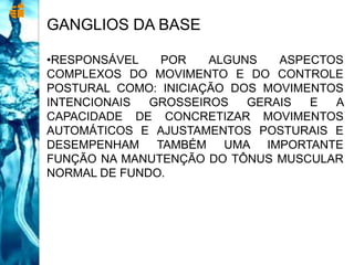 GANGLIOS DA BASE
•RESPONSÁVEL POR ALGUNS ASPECTOS
COMPLEXOS DO MOVIMENTO E DO CONTROLE
POSTURAL COMO: INICIAÇÃO DOS MOVIMENTOS
INTENCIONAIS GROSSEIROS GERAIS E A
CAPACIDADE DE CONCRETIZAR MOVIMENTOS
AUTOMÁTICOS E AJUSTAMENTOS POSTURAIS E
DESEMPENHAM TAMBÉM UMA IMPORTANTE
FUNÇÃO NA MANUTENÇÃO DO TÔNUS MUSCULAR
NORMAL DE FUNDO.
 