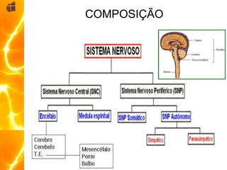 COMPOSIÇÃO
 
