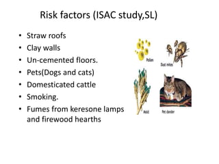 Risk factors (ISAC study,SL)
• Straw roofs
• Clay walls
• Un-cemented floors.
• Pets(Dogs and cats)
• Domesticated cattle
• Smoking.
• Fumes from keresone lamps
and firewood hearths
 