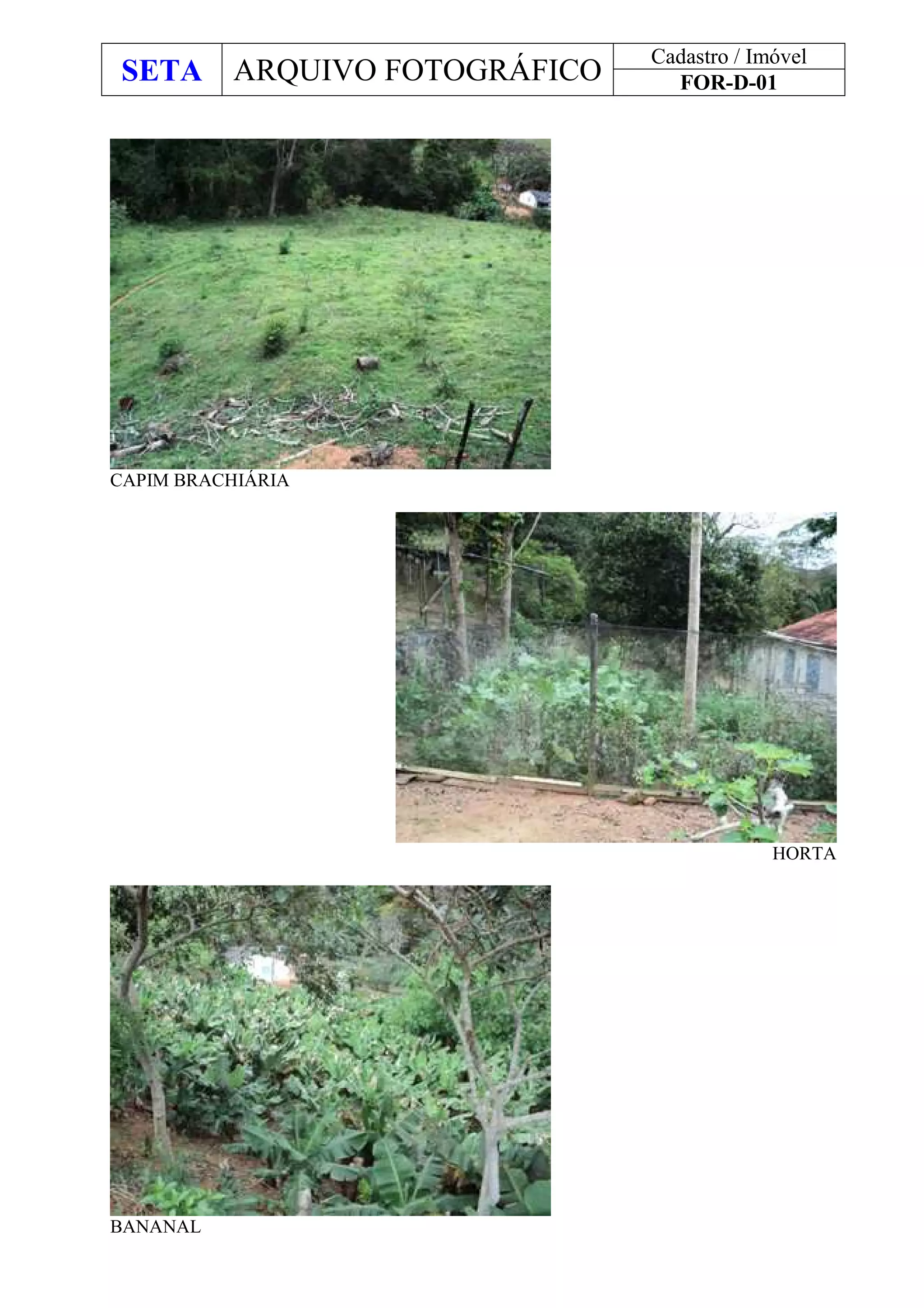 SETA ARQUIVO FOTOGRÁFICO
Cadastro / Imóvel
FOR-D-01
CAPIM BRACHIÁRIA
HORTA
BANANAL
 