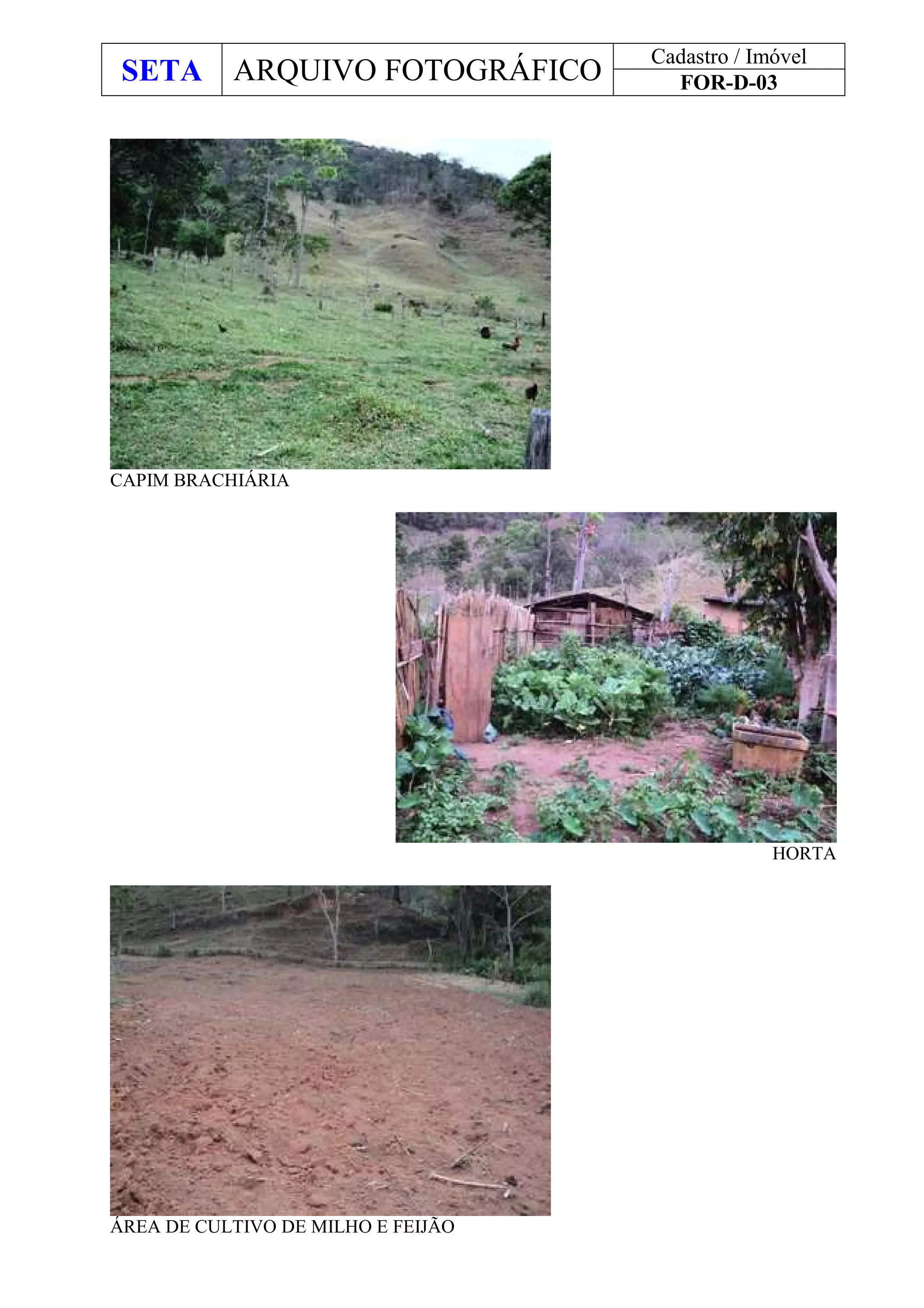 SETA ARQUIVO FOTOGRÁFICO
Cadastro / Imóvel
FOR-D-03
CAPIM BRACHIÁRIA
HORTA
ÁREA DE CULTIVO DE MILHO E FEIJÃO
 
