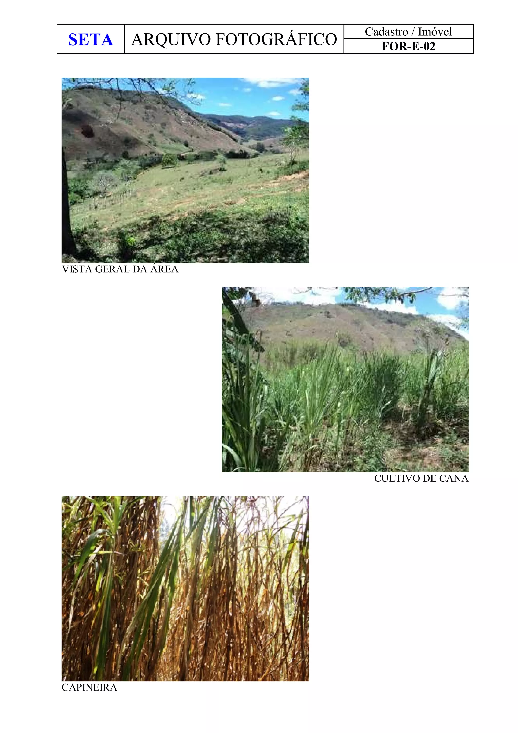 SETA ARQUIVO FOTOGRÁFICO
Cadastro / Imóvel
FOR-E-02
VISTA GERAL DA ÁREA
CULTIVO DE CANA
CAPINEIRA
 