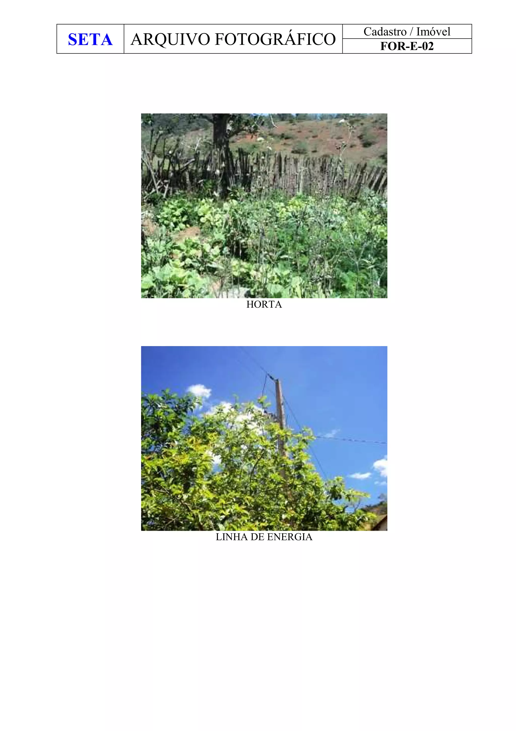 SETA ARQUIVO FOTOGRÁFICO
Cadastro / Imóvel
FOR-E-02
HORTA
LINHA DE ENERGIA
 