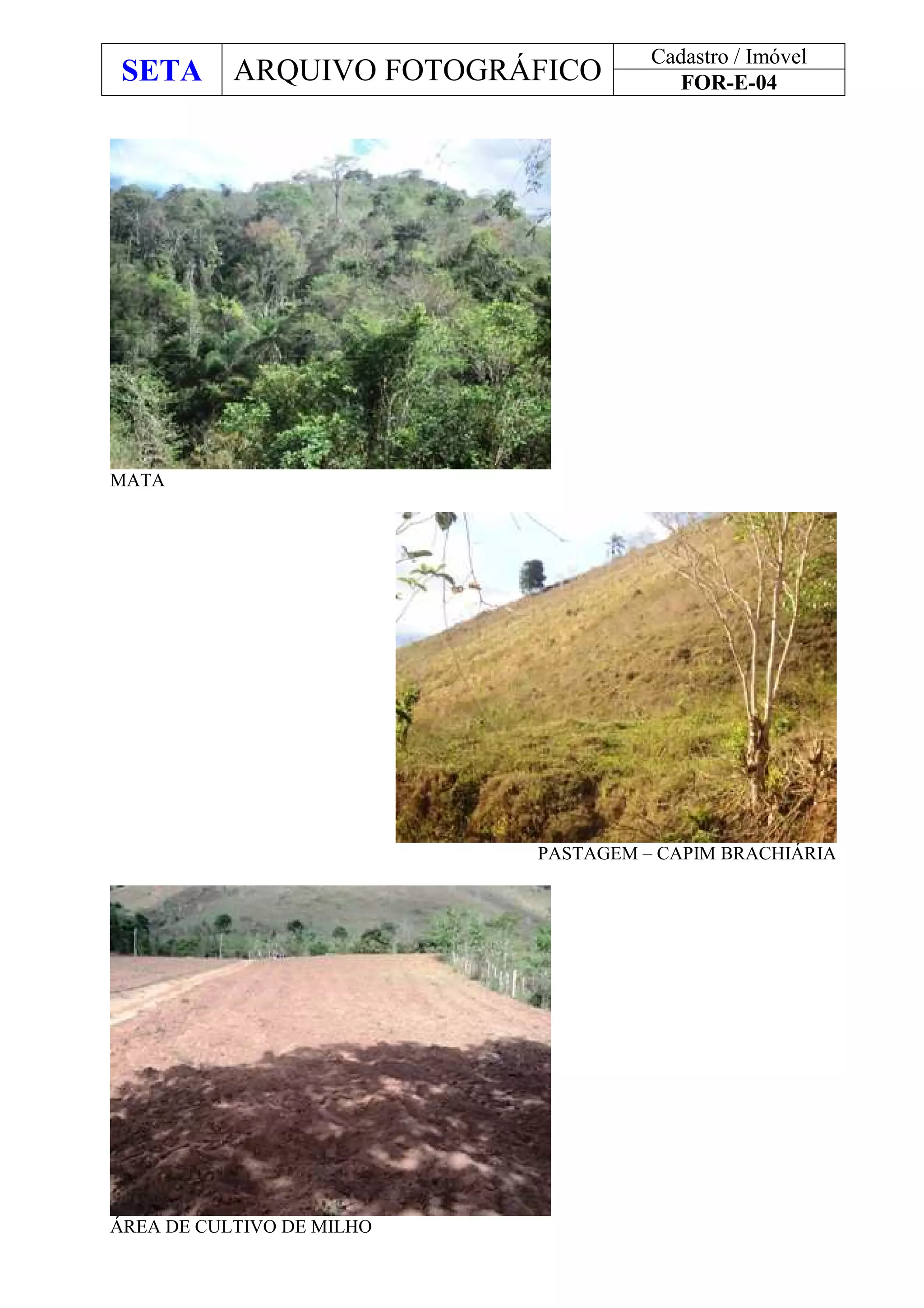 SETA ARQUIVO FOTOGRÁFICO
Cadastro / Imóvel
FOR-E-04
MATA
PASTAGEM – CAPIM BRACHIÁRIA
ÁREA DE CULTIVO DE MILHO
 
