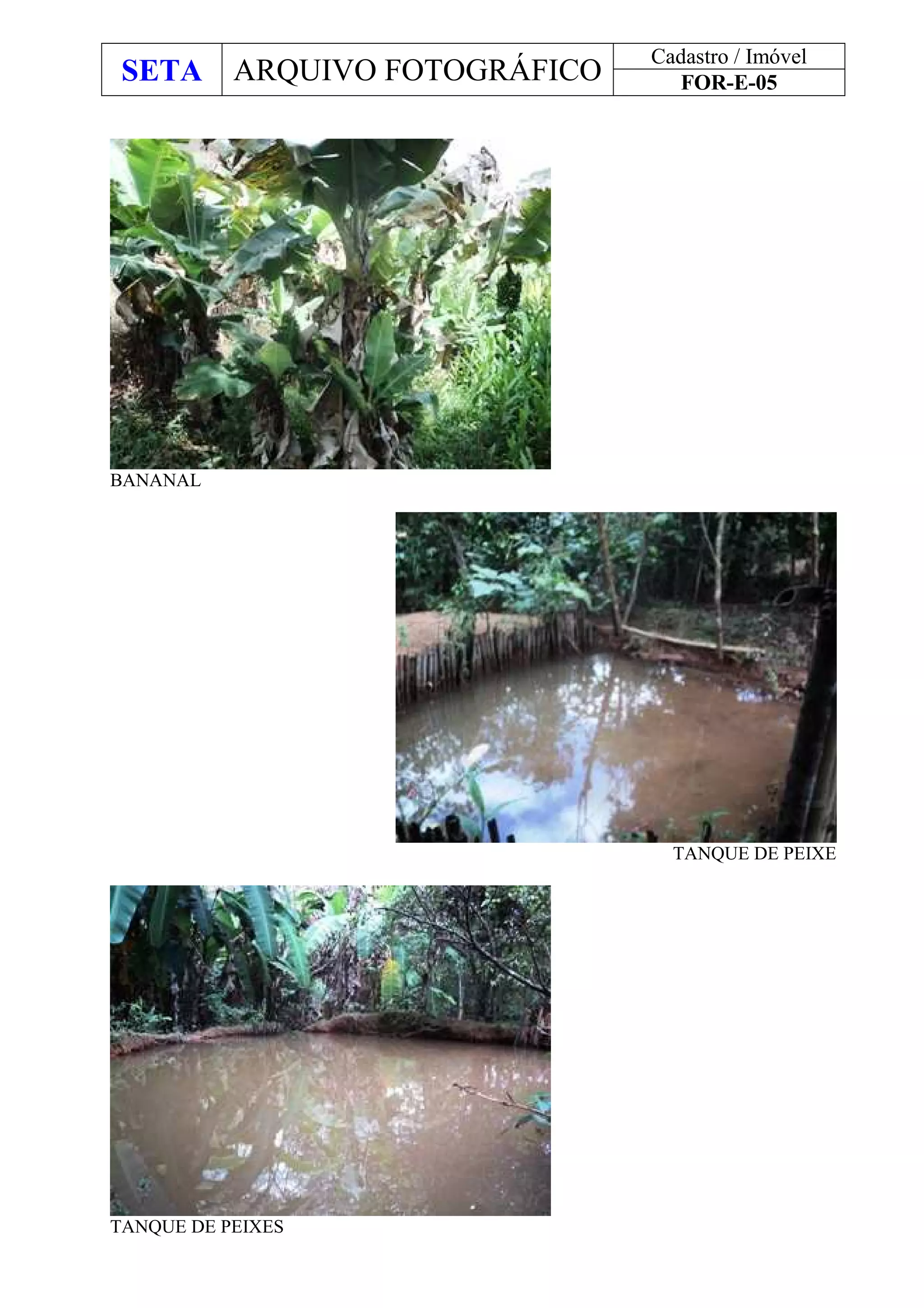 SETA ARQUIVO FOTOGRÁFICO
Cadastro / Imóvel
FOR-E-05
BANANAL
TANQUE DE PEIXE
TANQUE DE PEIXES
 