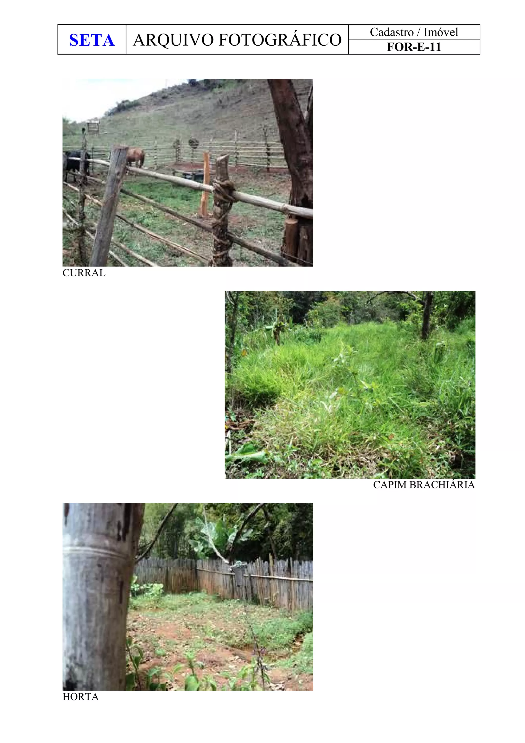 SETA ARQUIVO FOTOGRÁFICO
Cadastro / Imóvel
FOR-E-11
CURRAL
CAPIM BRACHIÁRIA
HORTA
 