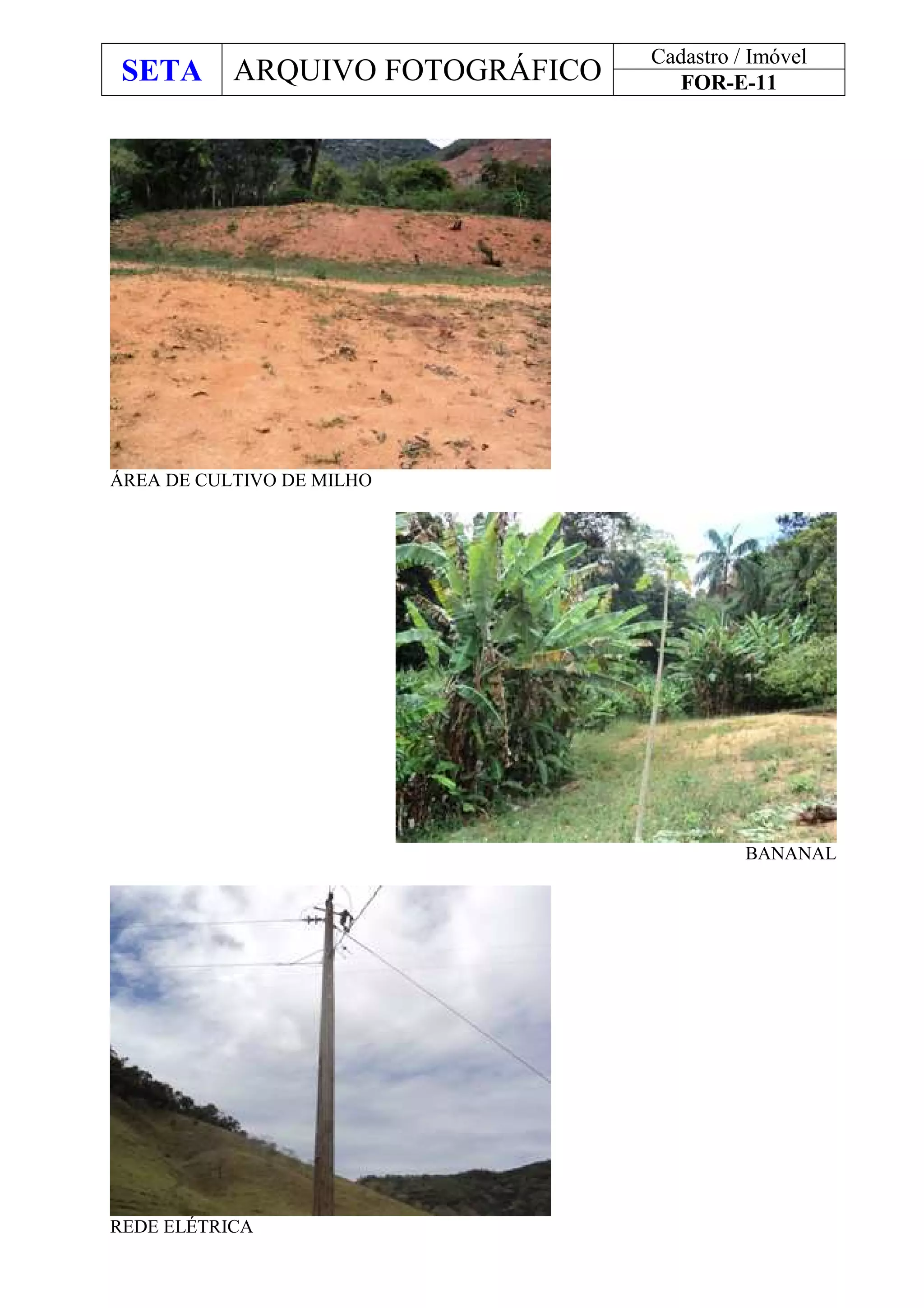 SETA ARQUIVO FOTOGRÁFICO
Cadastro / Imóvel
FOR-E-11
ÁREA DE CULTIVO DE MILHO
BANANAL
REDE ELÉTRICA
 
