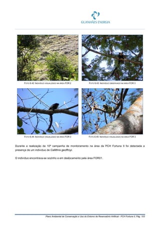Plano Ambiental de Conservação e Uso do Entorno de Reservatório Artificial - PCH Fortuna II, Pág. 103
FOTO 6.42: INDIVÍDUO VISUALIZADO NA ÁREA FOR 2 FOTO 6.43: INDIVÍDUO OBSERVADO NA ÁREA FOR 3
FOTO 6.44: INDIVÍDUO VISUALIZADO NA ÁREA FOR 3 FOTO 6.45: INDIVÍDUO VISUALIZADO NA ÁREA FOR 3
Durante a realização da 10ª campanha de monitoramento na área da PCH Fortuna II foi detectada a
presença de um indivíduo de Callithrix geoffroyi.
O indivíduo encontrava-se sozinho e em deslocamento pela área FOR01.
 