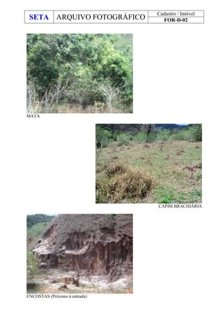SETA ARQUIVO FOTOGRÁFICO
Cadastro / Imóvel
FOR-D-02
MATA
CAPIM BRACHIÁRIA
ENCOSTAS (Próximo à entrada)
 