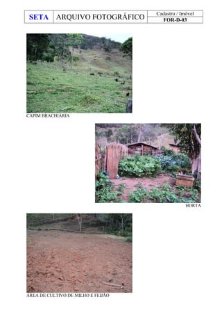 SETA ARQUIVO FOTOGRÁFICO
Cadastro / Imóvel
FOR-D-03
CAPIM BRACHIÁRIA
HORTA
ÁREA DE CULTIVO DE MILHO E FEIJÃO
 