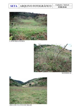 SETA ARQUIVO FOTOGRÁFICO
Cadastro / Imóvel
FOR-D-04
CAPIM BRACHIÁRIA
MANDIOCAL
ÁREA DE CULTIVO DE MILHO
 