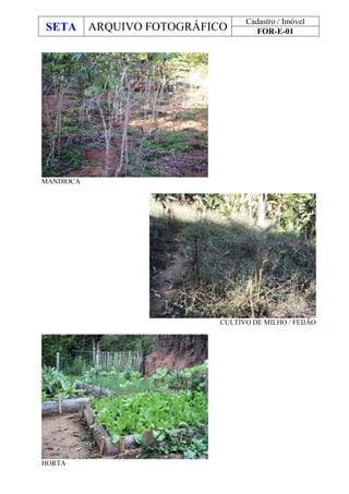 SETA ARQUIVO FOTOGRÁFICO
Cadastro / Imóvel
FOR-E-01
MANDIOCA
CULTIVO DE MILHO / FEIJÃO
HORTA
 